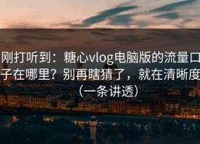 刚打听到：糖心vlog电脑版的流量口子在哪里？别再瞎猜了，就在清晰度（一条讲透）