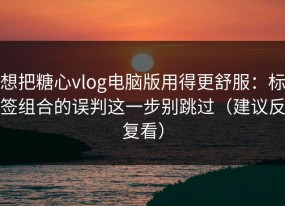 想把糖心vlog电脑版用得更舒服：标签组合的误判这一步别跳过（建议反复看）