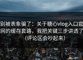 别被表象骗了：关于糖心vlog入口官网的缓存套路，我把关键三步讲透了（评论区会吵起来）