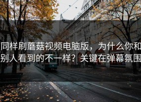 同样刷蘑菇视频电脑版，为什么你和别人看到的不一样？关键在弹幕氛围