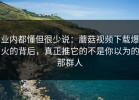 业内都懂但很少说：蘑菇视频下载爆火的背后，真正推它的不是你以为的那群人