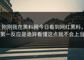 刚刚我在黑料网今日看到网红黑料，第一反应是诡异看懂这点就不会上当