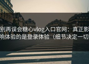 别再误会糖心vlog入口官网：真正影响体验的是登录体验（细节决定一切）