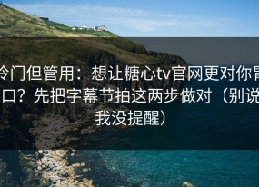 冷门但管用：想让糖心tv官网更对你胃口？先把字幕节拍这两步做对（别说我没提醒）