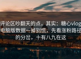 评论区吵翻天的点，其实：糖心vlog电脑版数据一掉别慌，先看涨粉路径的分岔，十有八九在这