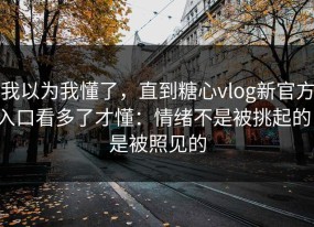 我以为我懂了，直到糖心vlog新官方入口看多了才懂：情绪不是被挑起的，是被照见的