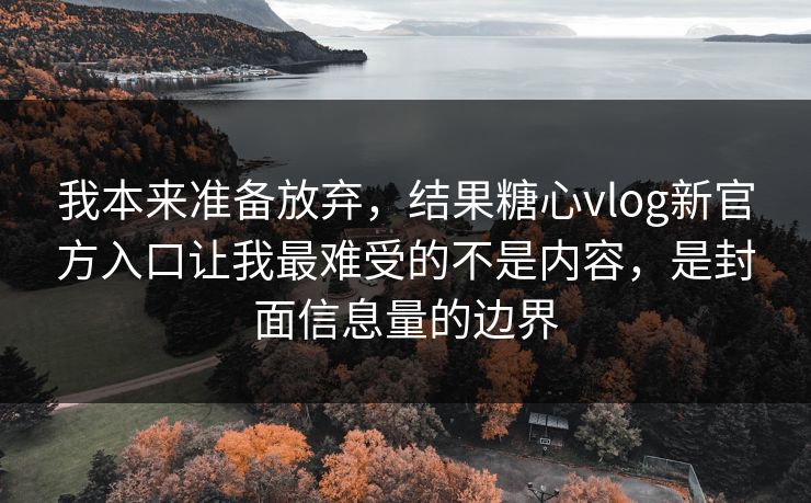 我本来准备放弃，结果糖心vlog新官方入口让我最难受的不是内容，是封面信息量的边界