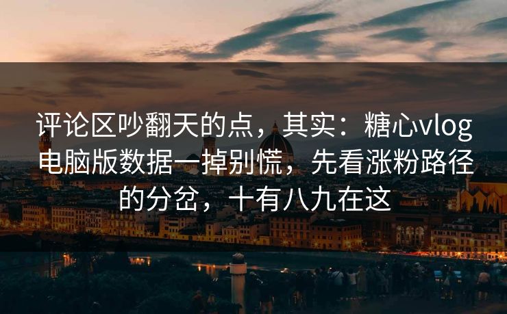 评论区吵翻天的点，其实：糖心vlog电脑版数据一掉别慌，先看涨粉路径的分岔，十有八九在这