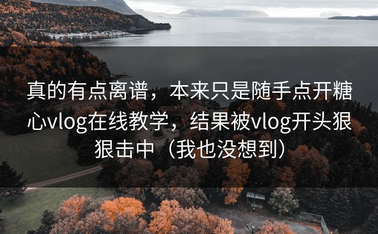 真的有点离谱，本来只是随手点开糖心vlog在线教学，结果被vlog开头狠狠击中（我也没想到）