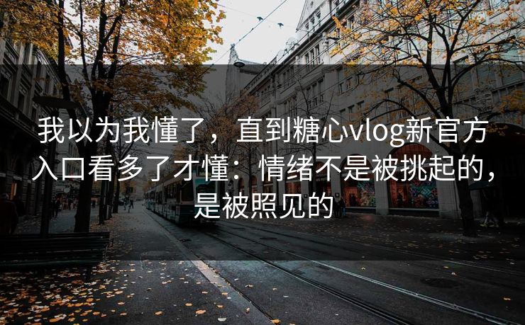 我以为我懂了，直到糖心vlog新官方入口看多了才懂：情绪不是被挑起的，是被照见的