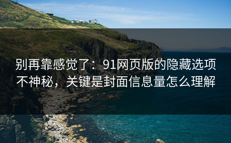 别再靠感觉了：91网页版的隐藏选项不神秘，关键是封面信息量怎么理解